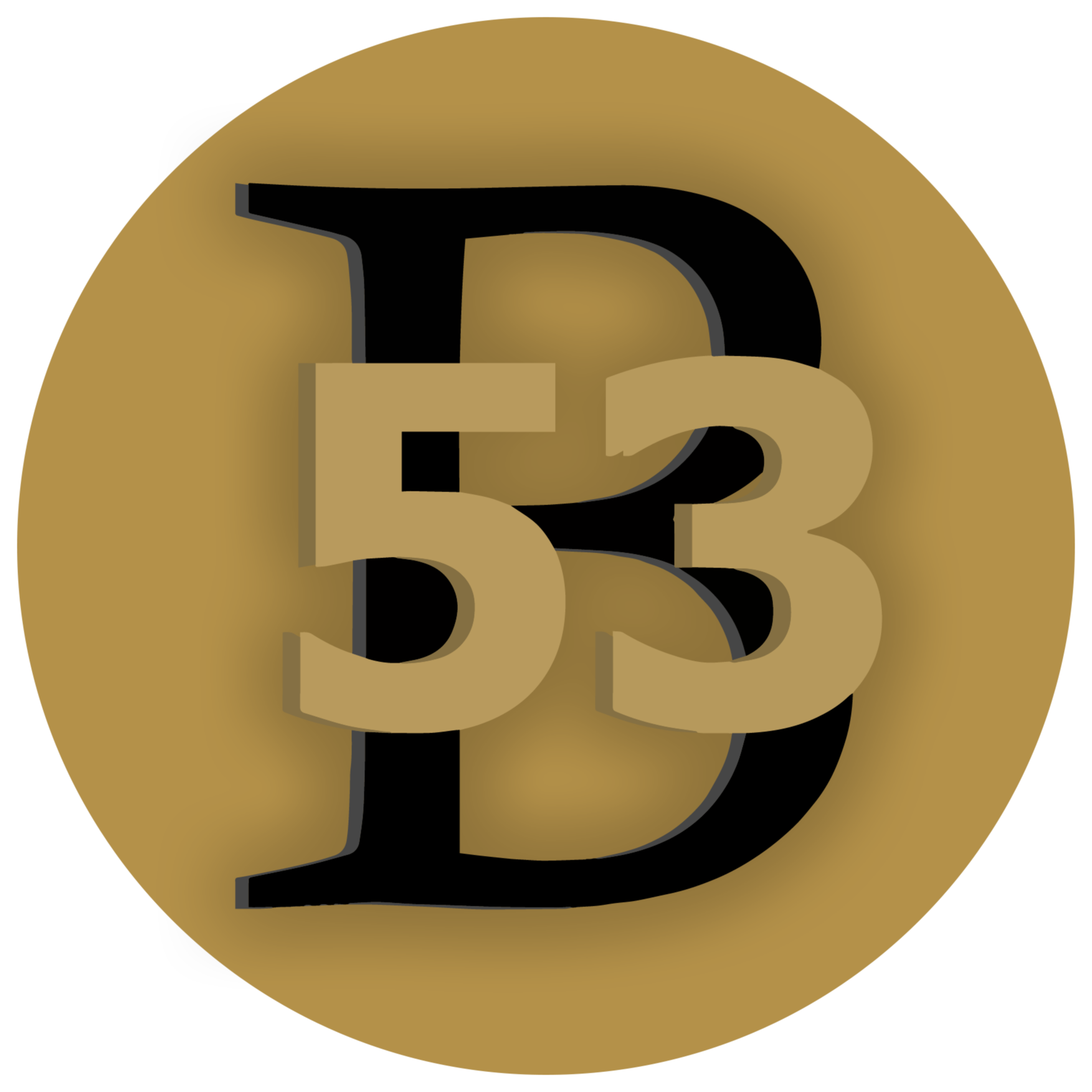 Bourbonnais 53 District