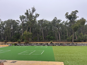 Mount Clear College bushland